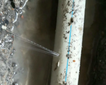 红花岗卫生间测漏水多少钱
