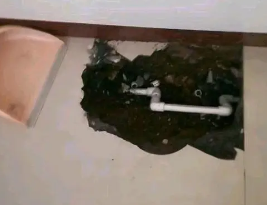 红花岗卫生间测漏水多少钱